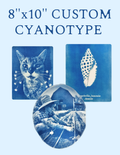 8" x 10" Custom Cyanotype Portrait