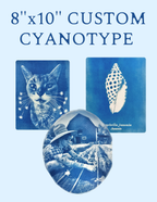 8" x 10" Custom Cyanotype Portrait