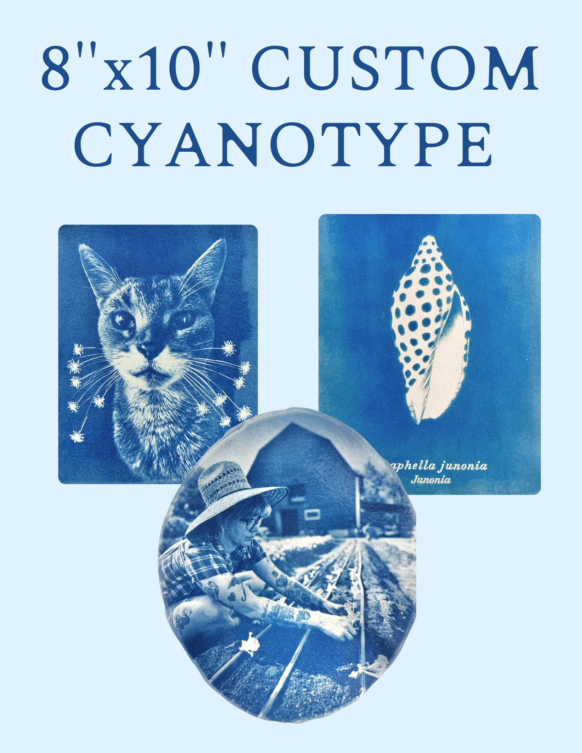 8" x 10" Custom Cyanotype Portrait
