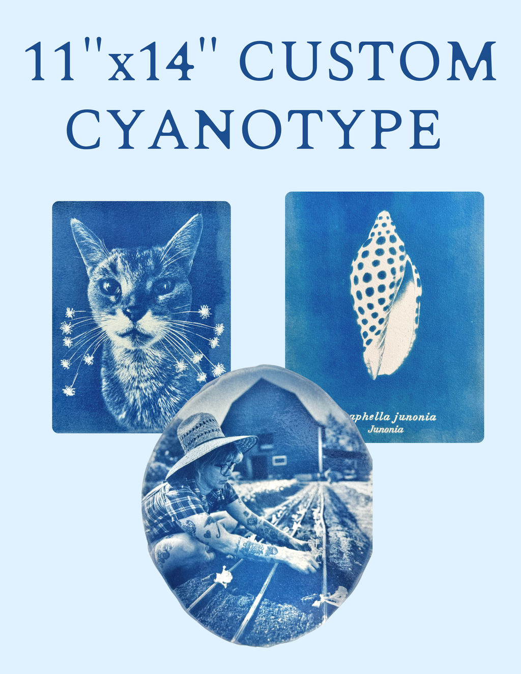 11" x 14" Custom Cyanotype Portrait