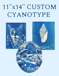 11" x 14" Custom Cyanotype Portrait