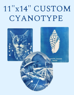 11" x 14" Custom Cyanotype Portrait