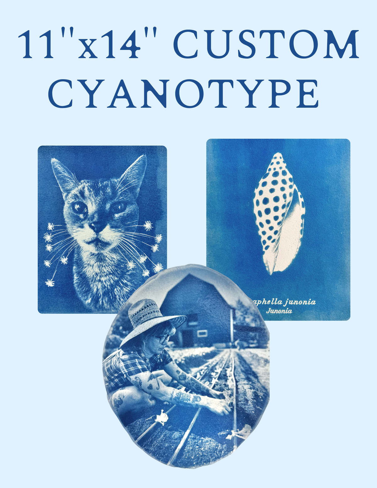 11" x 14" Custom Cyanotype Portrait
