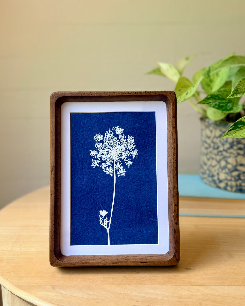 Little Lace no. 4