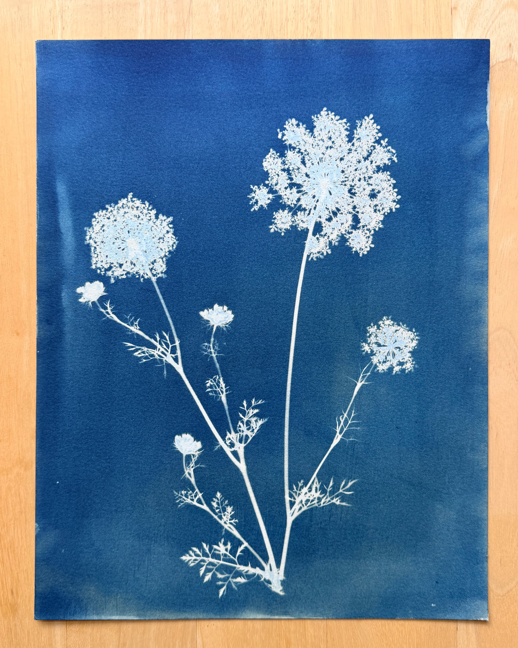Meadow Lace no. 2