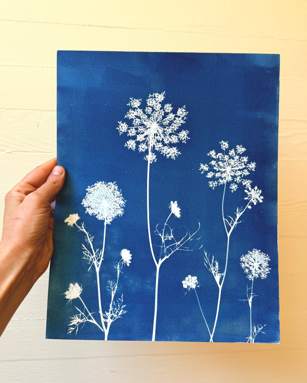 Meadow Lace no. 1