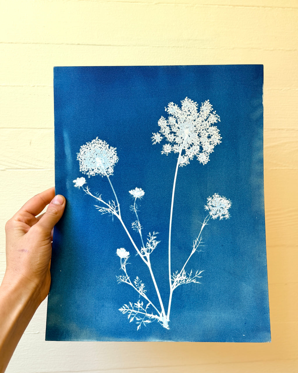 Meadow Lace no. 2