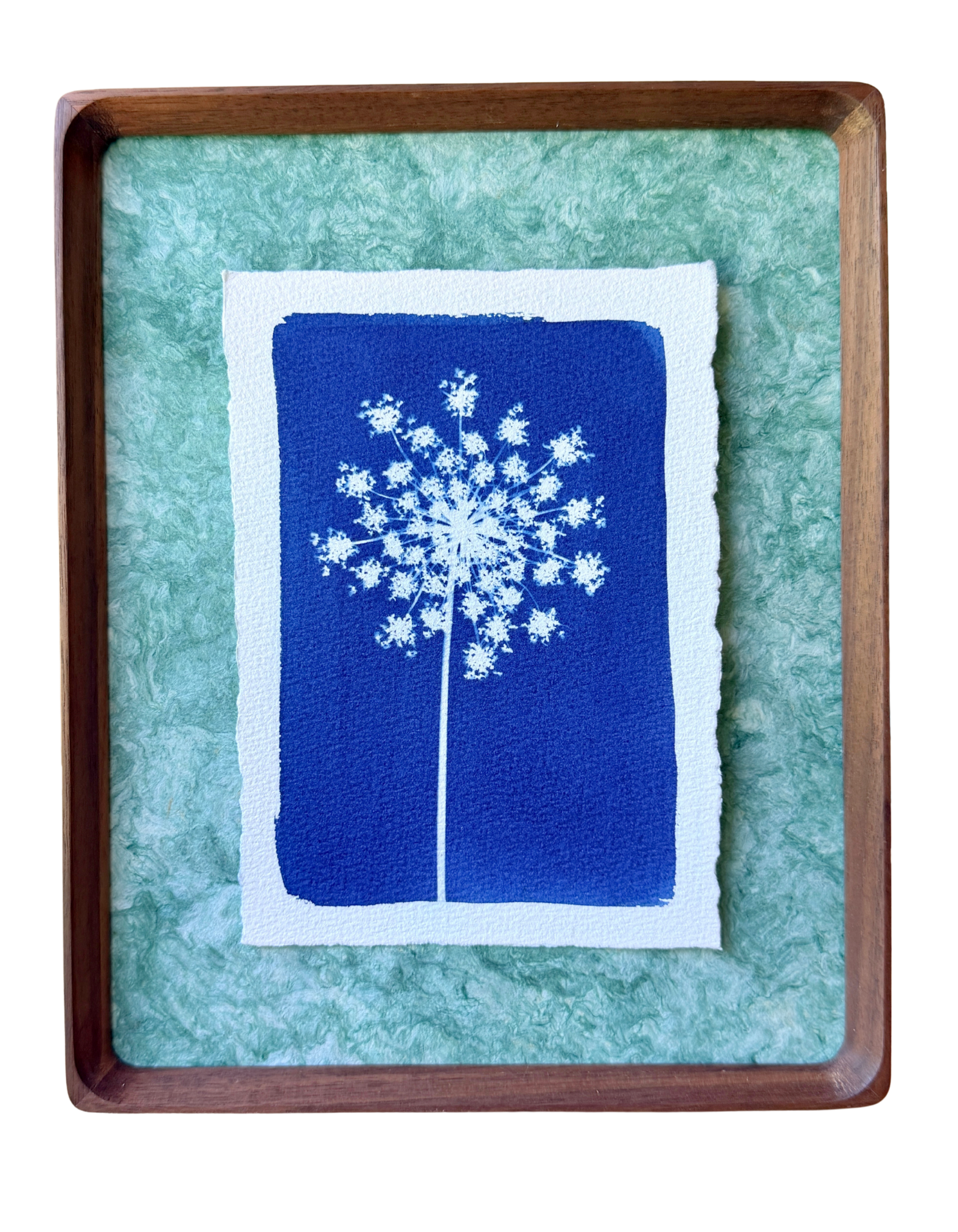 Beloved Lace