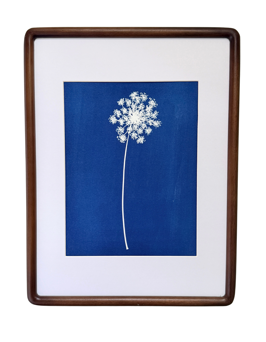 Quiet Lace no. 2