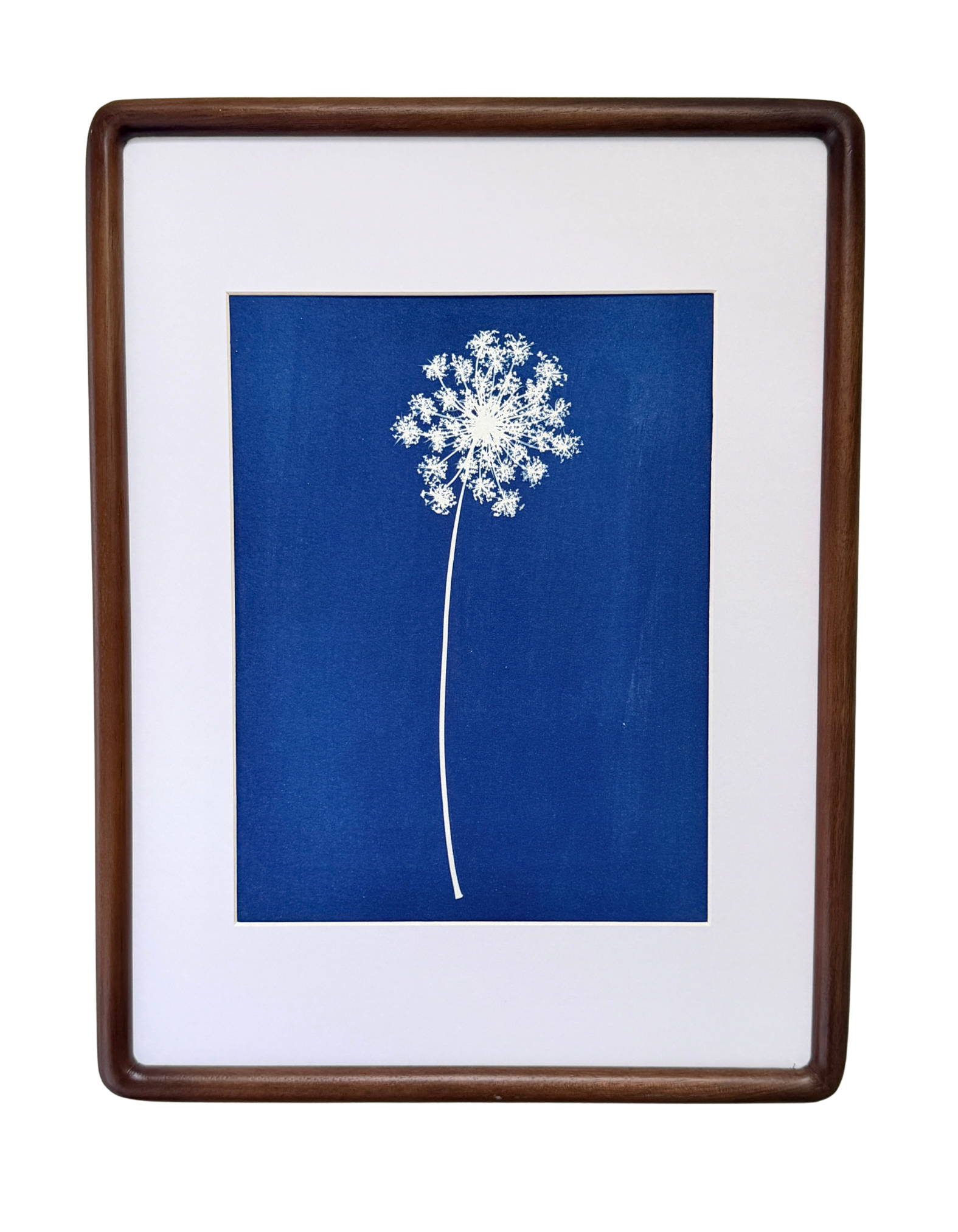 Quiet Lace no. 2