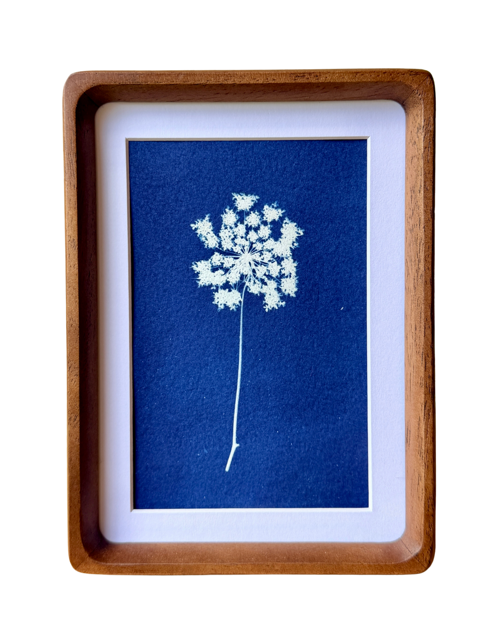 Little Lace no. 3