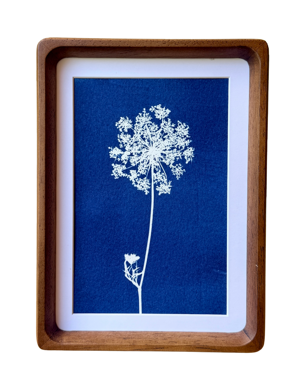 Little Lace no. 4